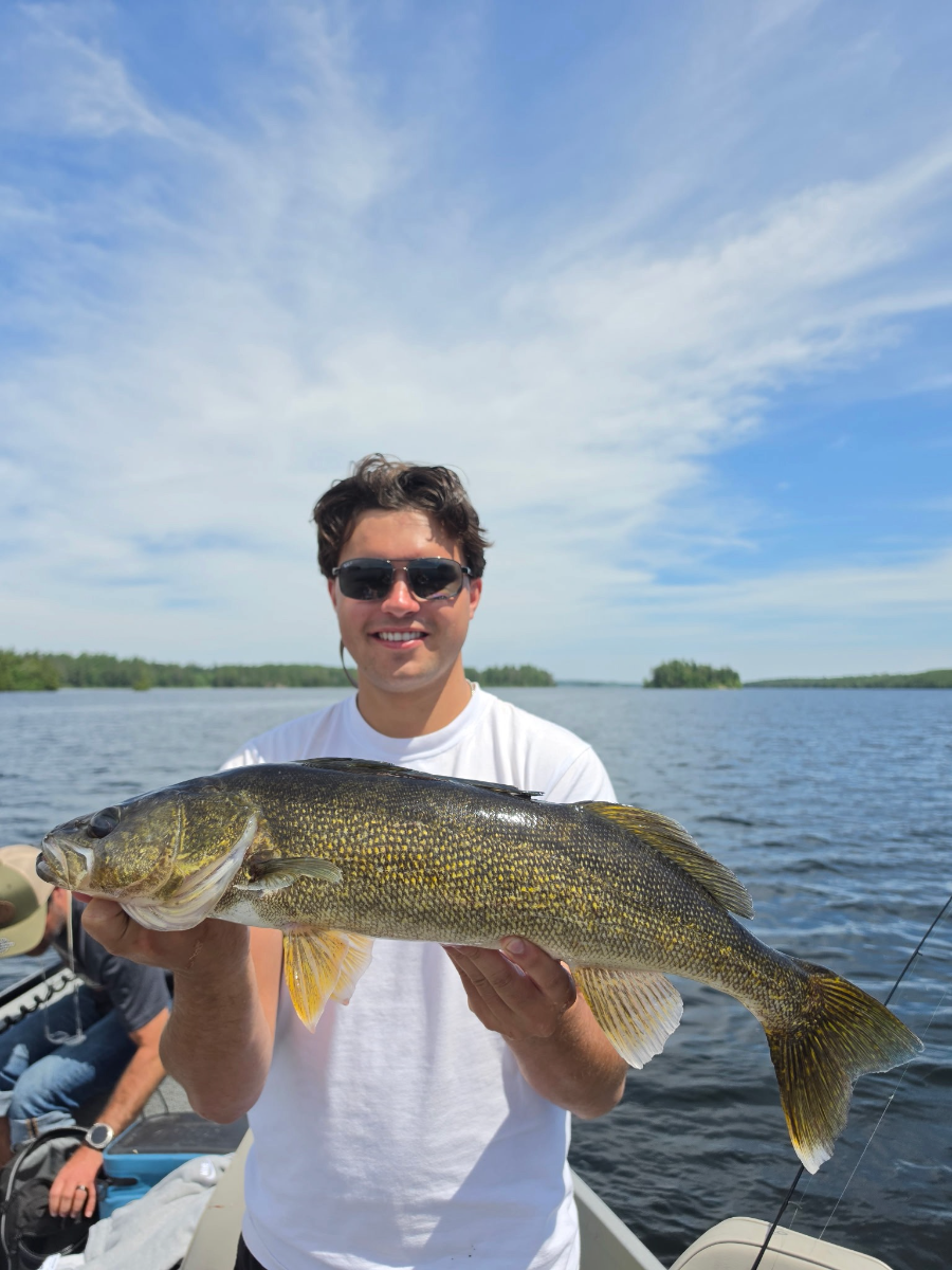 Guest holding a thick summer walleye
